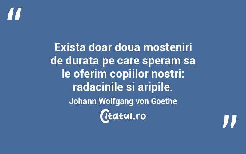 Exista doar doua mosteniri de durata pe care speram sa le oferim copiilor nostri: radacinile si aripile. Johann Wolfgang von Goethe