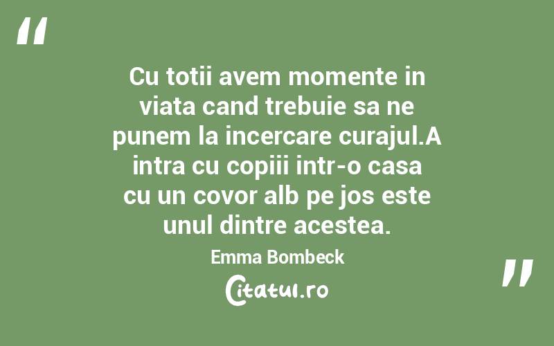 Cu totii avem momente in viata cand trebuie sa ne punem la incercare curajul.A intra cu copiii intr-o casa cu un covor alb pe jos este unul dintre acestea. Emma Bombeck