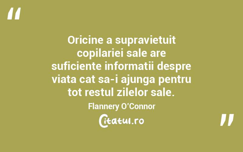 Oricine a supravietuit copilariei sale are suficiente informatii despre viata cat sa-i ajunga pentru tot restul zilelor sale. Flannery O’Connor