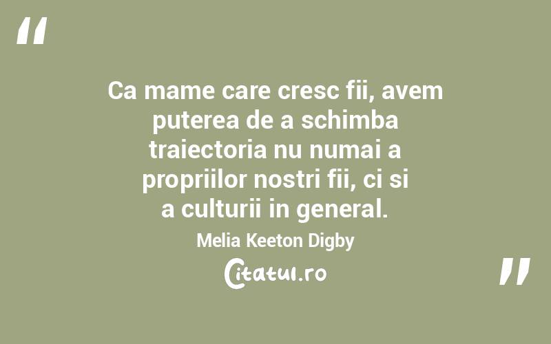 Ca mame care cresc fii, avem puterea de a schimba traiectoria nu numai a propriilor nostri fii, ci si a culturii in general. Melia Keeton Digby