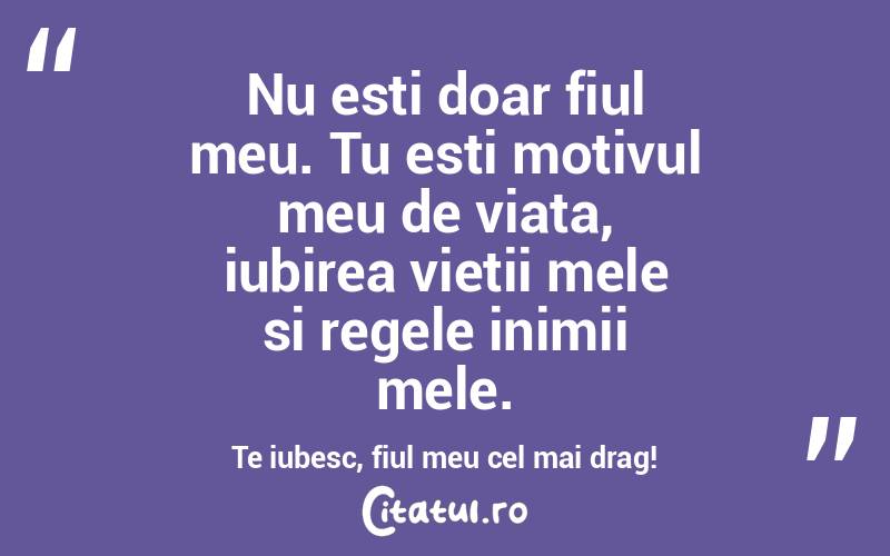 Nu esti doar fiul meu. Tu esti motivul meu de viata, iubirea vietii mele si regele inimii mele. Te iubesc, fiul meu cel mai drag! 