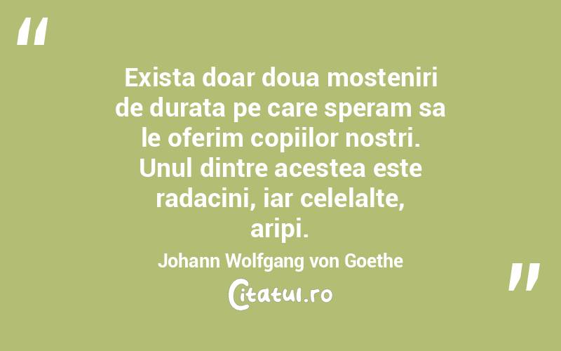 Exista doar doua mosteniri de durata pe care speram sa le oferim copiilor nostri. Unul dintre acestea este radacini, iar celelalte, aripi. Johann Wolfgang von Goethe