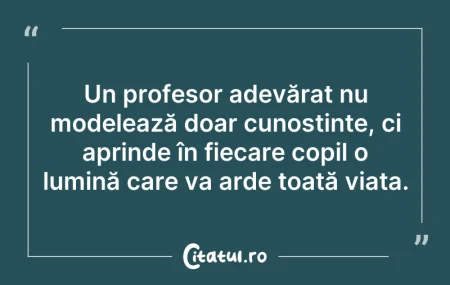 Citeste si: Un profesor adevărat nu modelează doar c...