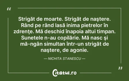 Strigăt de moarte. Strigăt de naştere...