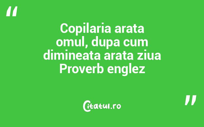 Copilaria arata omul, dupa cum dimineata arata ziua Proverb englez