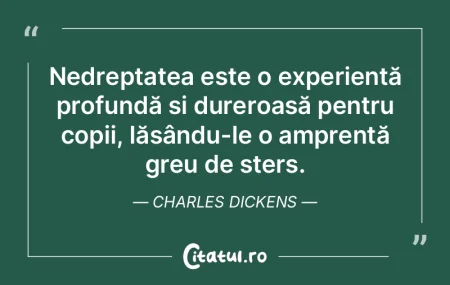 Nedreptatea este o experiență profundÄ... Nedreptatea este o experiență profundÄ...