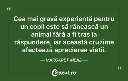 Cea mai gravă experiență pentru un co...