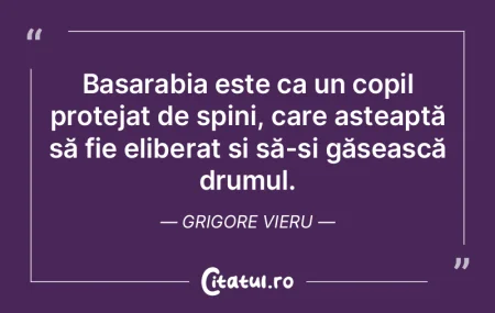 Basarabia este ca un copil protejat de s...