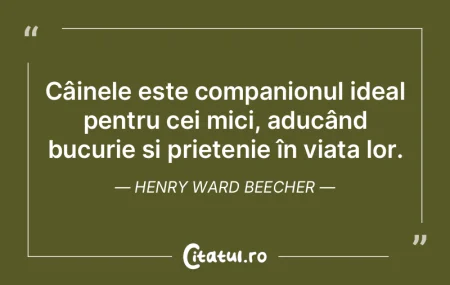 Câinele este companionul ideal pentru c...