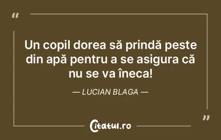 Un copil dorea să prindă pește din ap...