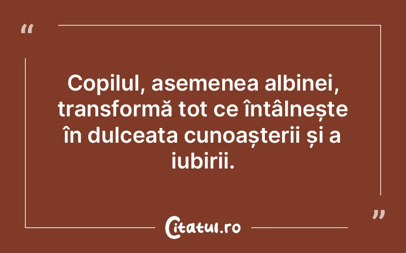 Citat Autor necunoscut - citate copii