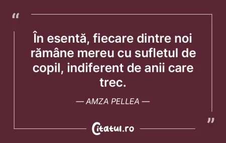 În esență, fiecare dintre noi rămân...