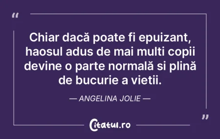 Chiar dacă poate fi epuizant, haosul ad...