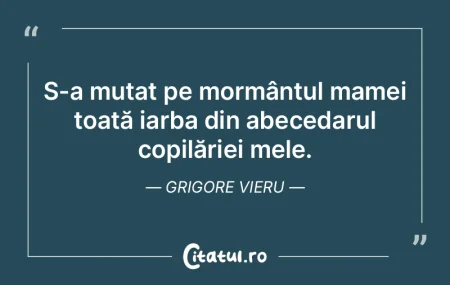 S-a mutat pe mormântul mamei toată iar...