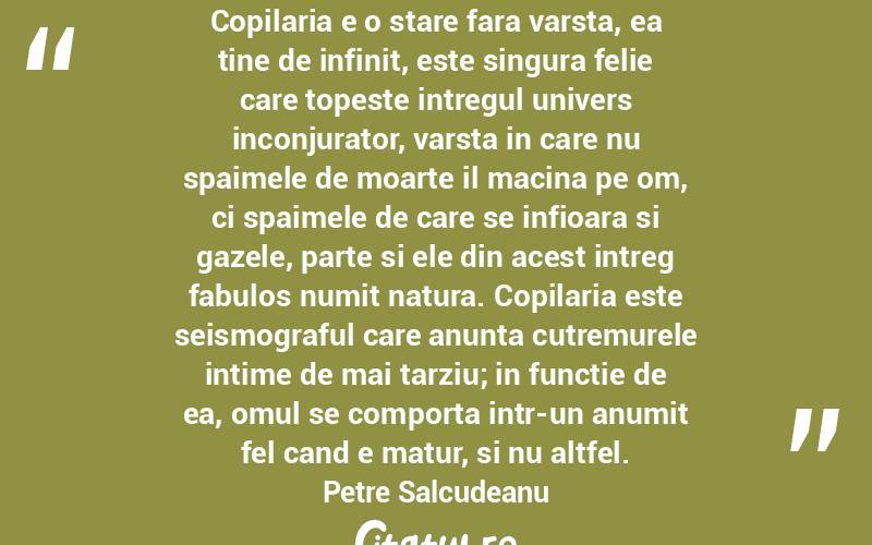 Copilaria e o stare fara varsta, ea tine de infinit, este singura felie care topeste intregul univers inconjurator, varsta in care nu spaimele de moarte il macina pe om, ci spaimele de care se infioara si gazele, parte si ele din acest intreg fabulos numit natura. Copilaria este seismograful care anunta cutremurele intime de mai tarziu; in functie de ea, omul se comporta intr-un anumit fel cand e matur, si nu altfel. Petre Salcudeanu