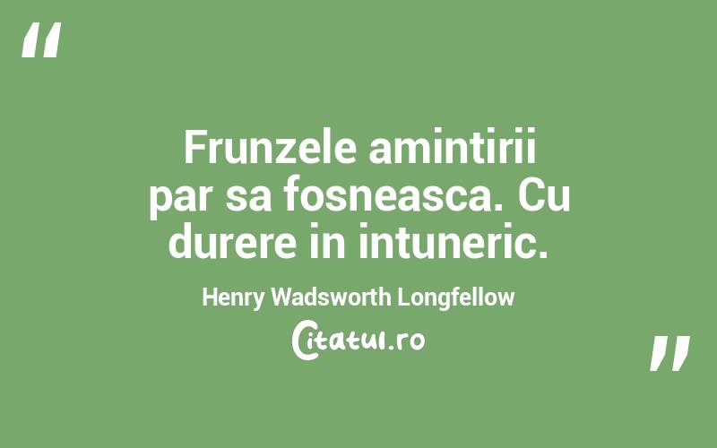Frunzele amintirii par sa fosneasca. Cu durere in intuneric. Henry Wadsworth Longfellow