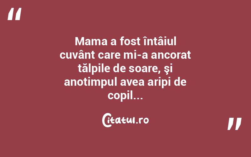 Mama a fost întâiul cuvânt care mi-a ancorat tălpile de soare, şi anotimpul avea aripi de copil...  
