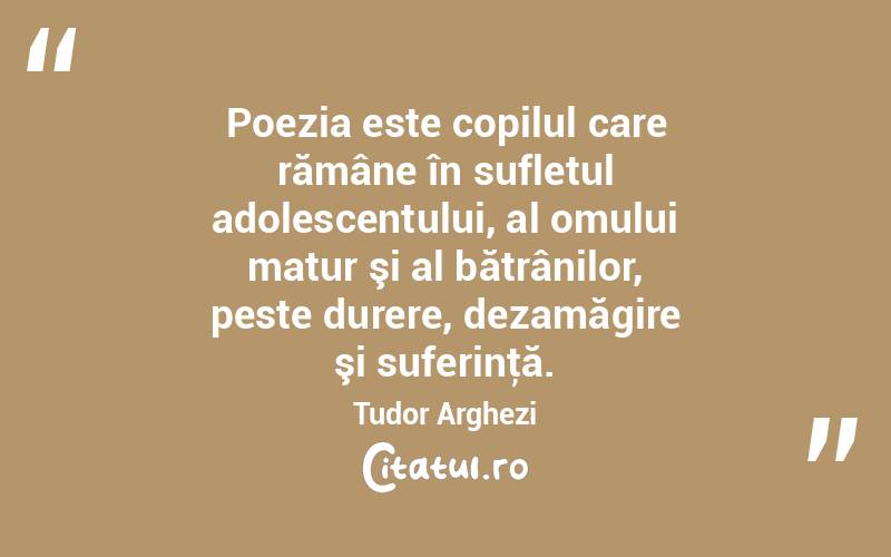  Poezia este copilul care rămâne în sufletul adolescentului, al omului matur şi al bătrânilor, peste durere, dezamăgire şi suferinţă. Tudor Arghezi