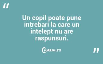 Un copil poate pune intrebari la care un intelept nu are raspunsuri....