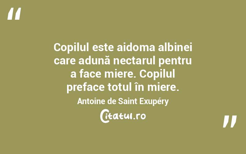 Copilul este aidoma albinei care adună nectarul pentru a face miere. Copilul preface totul în miere. Antoine de Saint Exupéry