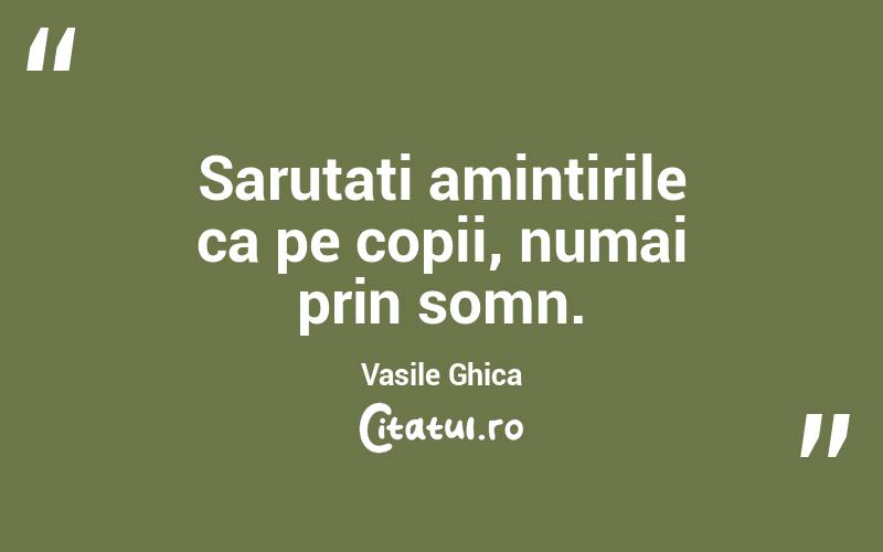 Sarutati amintirile ca pe copii, numai prin somn. Vasile Ghica