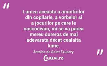Lumea aceasta a amintirilor din copilarie, a vorbelor si a jocurilor pe care le nascoceam, mi se va parea mereu dureros de mai adevarata decat cealalta lume. Antoine de Saint Exupery...