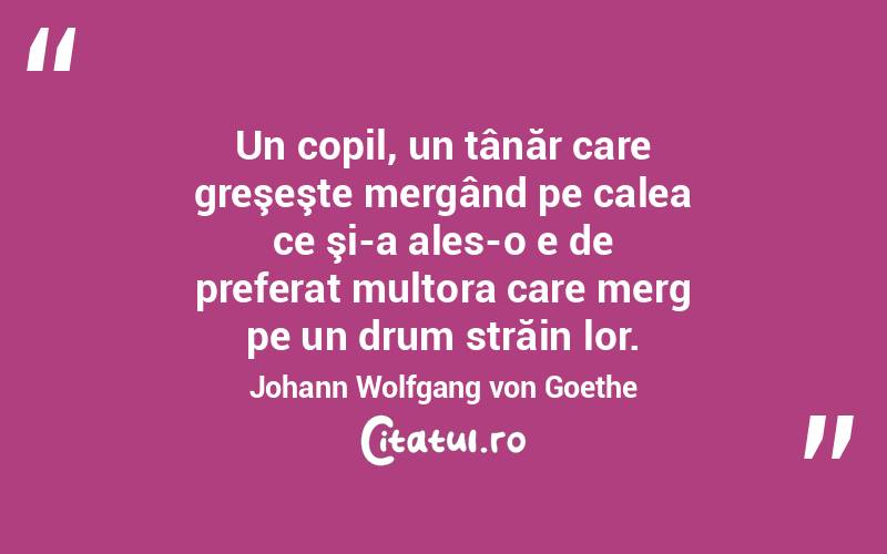 Un copil, un tânăr care greşeşte mergând pe calea ce şi-a ales-o e de preferat multora care merg pe un drum străin lor. Johann Wolfgang von Goethe