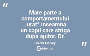 Mare parte a comportamentului „urat” inseamna un copil care striga dupa ajutor. Dr. Shefali Tsabary...