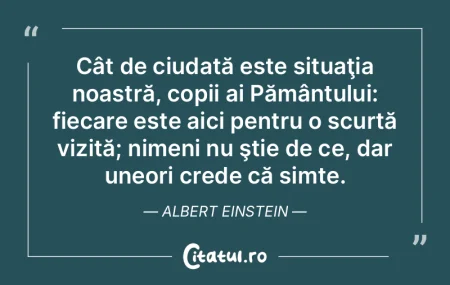 Cât de ciudată este situaţia noastră...