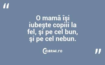  O mamă îşi iubeşte copiii la fel, şi pe cel bun, şi pe cel nebun.  ...