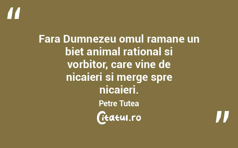 Fara Dumnezeu omul ramane un biet animal rational si vorbitor, care vine de nicaieri si merge spre nicaieri. Petre Țuțea