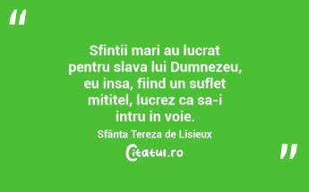 Sfintii mari au lucrat pentru slava lui Dumnezeu, eu insa, fiind un suflet mititel, lucrez ca sa-i intru in voie. Sfânta Tereza de Lisieux...
