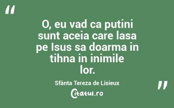O, eu vad ca putini sunt aceia care lasa pe Isus sa doarma in tihna in inimile lor. Sfânta Tereza de Lisieux...
