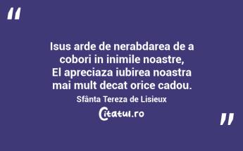 Isus arde de nerabdarea de a cobori in inimile noastre, El apreciaza iubirea noastra mai mult decat orice cadou. Sfânta Tereza de Lisieux...