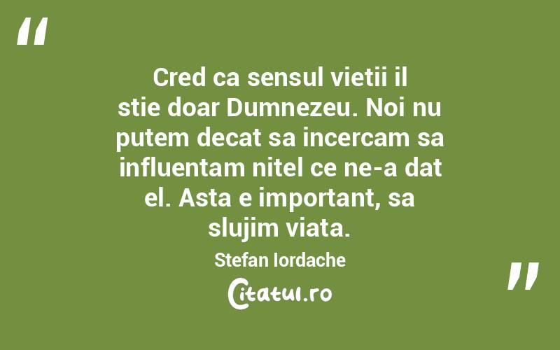 Cred ca sensul vietii il stie doar Dumnezeu. Noi nu putem decat sa incercam sa influentam nitel ce ne-a dat el. Asta e important, sa slujim viata. Stefan Iordache