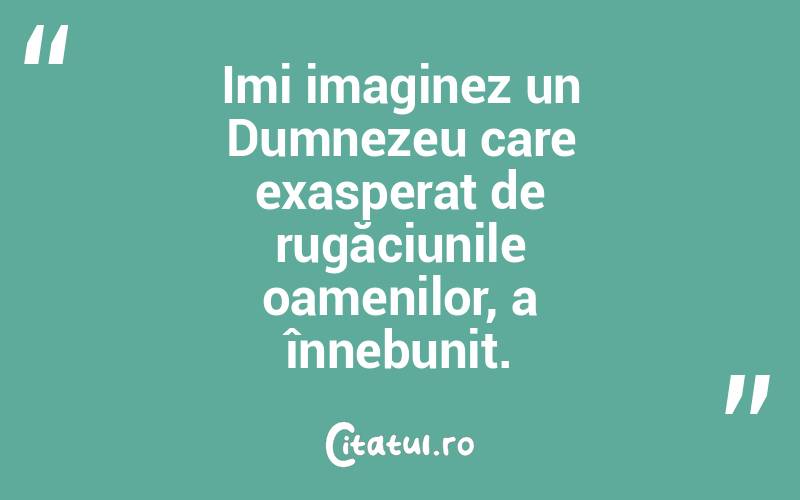 Imi imaginez un Dumnezeu care exasperat de rugăciunile oamenilor, a înnebunit.