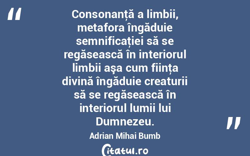 Consonanţă a limbii, metafora îngăduie semnificaţiei să se regăsească în interiorul limbii aşa cum fiinţa divină îngăduie creaturii să se regăsească în interiorul lumii lui Dumnezeu. Adrian Mihai Bumb