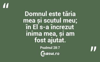 Domnul este tăria mea și scutul meu; în El s-a încrezut inima mea, și am fost ajutat. Psalmul 28:7...