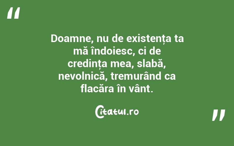 Doamne, nu de existenţa ta mă îndoiesc, ci de credinţa mea, slabă, nevolnică, tremurând ca flacăra în vânt.  
