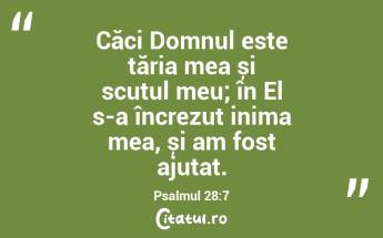 Căci Domnul este tăria mea și scutul meu; în El s-a încrezut inima mea, și am fost ajutat. Psalmul 28:7...