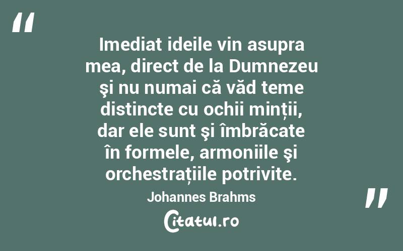 Imediat ideile vin asupra mea, direct de la Dumnezeu şi nu numai că văd teme distincte cu ochii minţii, dar ele sunt şi îmbrăcate în formele, armoniile şi orchestraţiile potrivite. Johannes Brahms