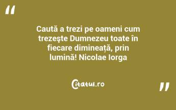 Caută a trezi pe oameni cum trezeşte Dumnezeu toate în fiecare dimineaţă, prin lumină! Nicolae Iorga...