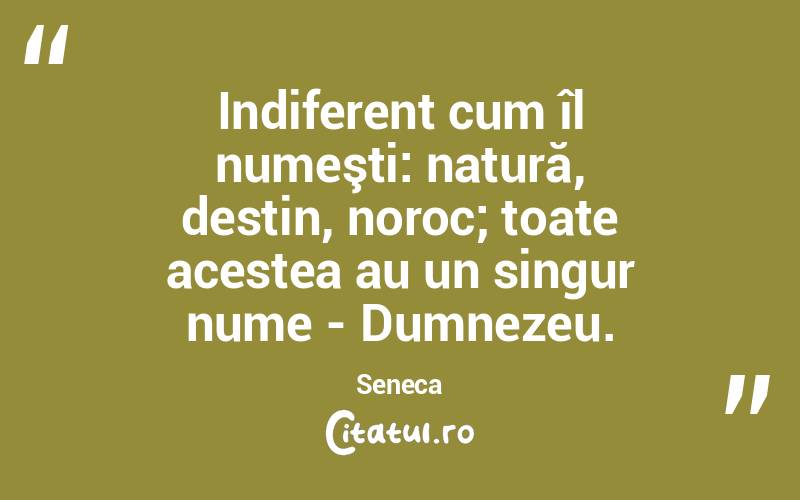 Indiferent cum îl numeşti: natură, destin, noroc; toate acestea au un singur nume - Dumnezeu. Seneca