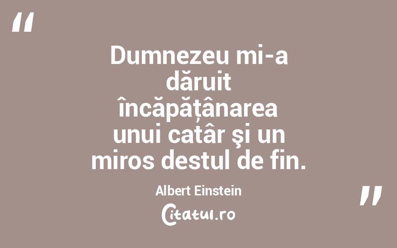 Dumnezeu mi-a dăruit încăpăţânarea unui catâr şi un miros destul de fin. Albert Einstein