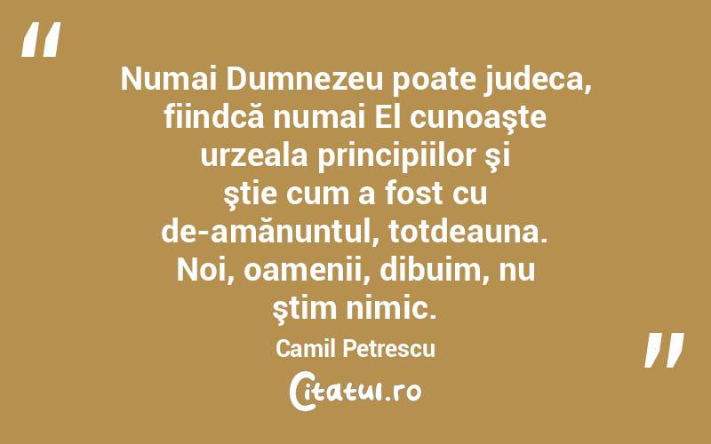 Numai Dumnezeu poate judeca, fiindcă numai El cunoaşte urzeala principiilor şi ştie cum a fost cu de-amănuntul, totdeauna. Noi, oamenii, dibuim, nu ştim nimic. Camil Petrescu