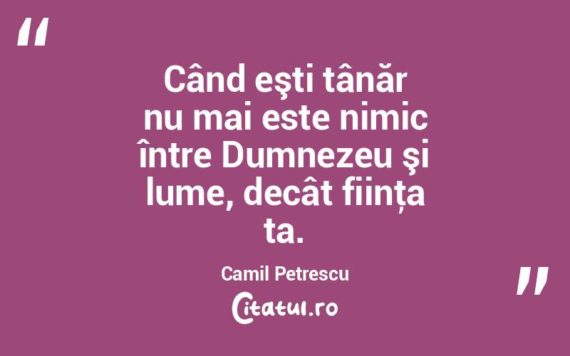 Când eşti tânăr nu mai este nimic între Dumnezeu şi lume, decât fiinţa ta. Camil Petrescu