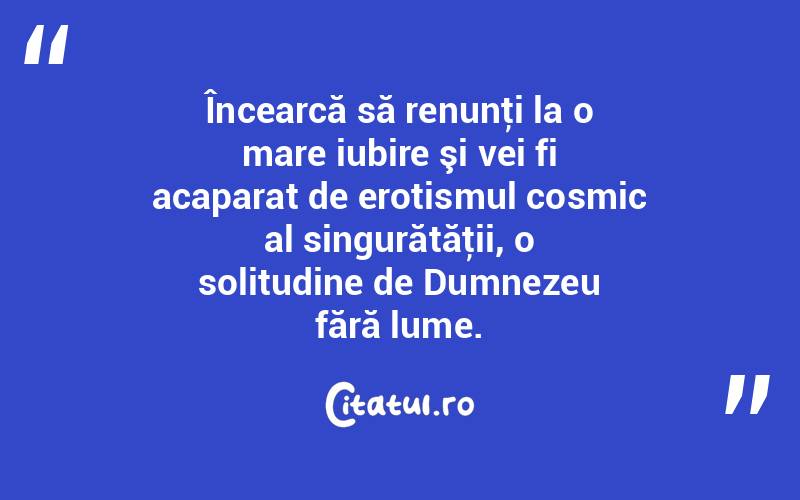 Încearcă să renunţi la o mare iubire şi vei fi acaparat de erotismul cosmic al singurătăţii, o solitudine de Dumnezeu fără lume.  
