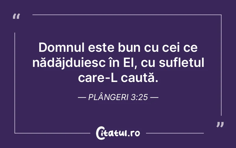 Domnul este bun cu cei ce nădăjduiesc în El, cu sufletul care-L caută. Plângeri 3:25
