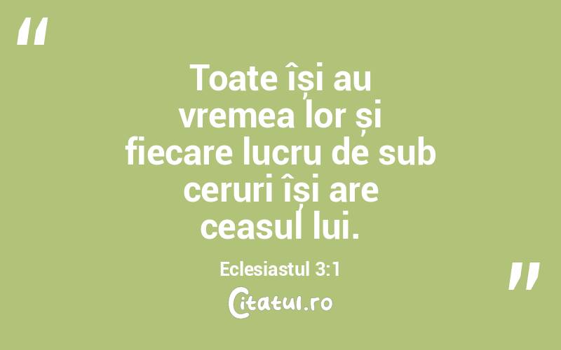 Toate își au vremea lor și fiecare lucru de sub ceruri își are ceasul lui. Eclesiastul 3:1