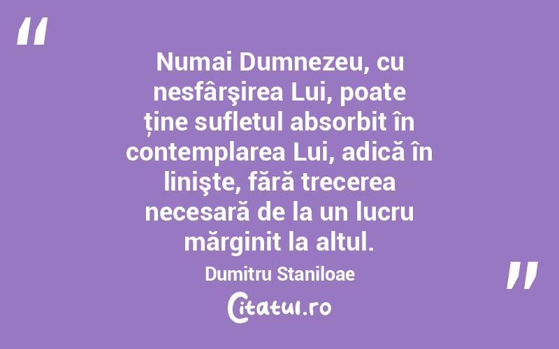 Numai Dumnezeu, cu nesfârşirea Lui, poate ţine sufletul absorbit în contemplarea Lui, adică în linişte, fără trecerea necesară de la un lucru mărginit la altul. Dumitru Staniloae